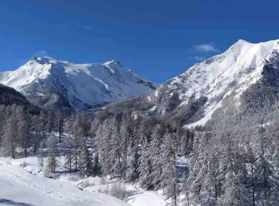 Apartment Appartement Les Orres 1800 Au Pied Des Pistes Le Melezet France